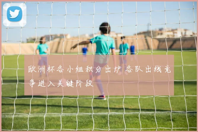 欧洲杯各小组积分出炉 各队出线竞争进入关键阶段