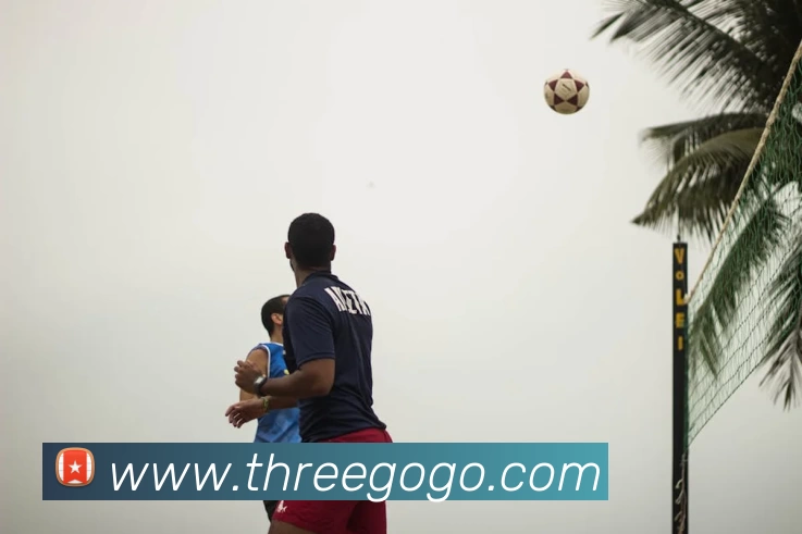 奇异果·奇异果(中国)官方网平台生态图