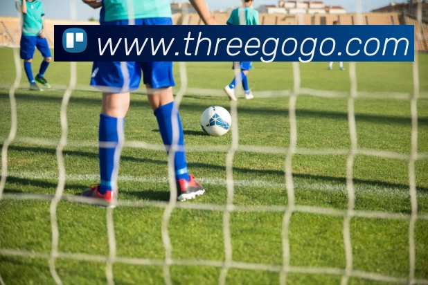 奇异果·奇异果(中国)官方网全站App 奇异果·奇异果(中国)官方网全站App